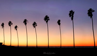 Beach Sunsets